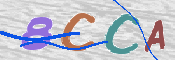 Obraz CAPTCHY